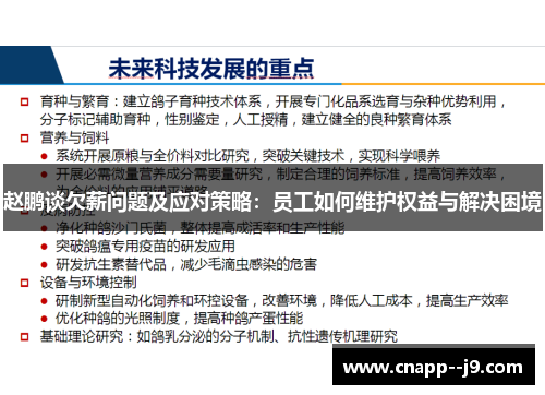 赵鹏谈欠薪问题及应对策略：员工如何维护权益与解决困境