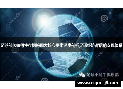 足球部落如何生存揭秘四大核心要素深度剖析足球经济背后的支撑体系 足球部落如何生存揭秘四大核心要素深度剖析足球经济背后的支撑体系